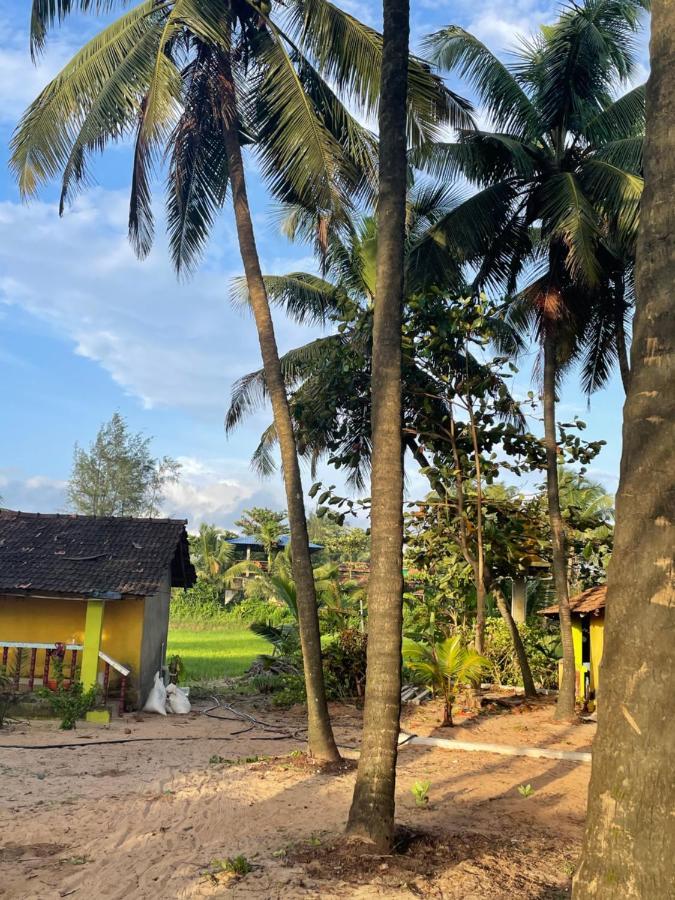 Absolute Paradise Hostels Gokarna (Karnataka) Exterior photo